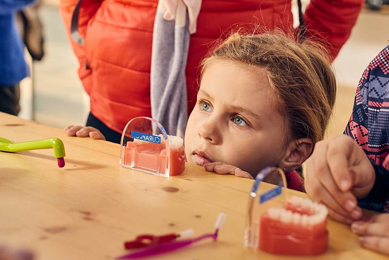 Jak pečovat o své zuby představil dětem projekt Světové dentální federace v plzeňském DEPO2015. Zábavnou formou a pomocí soutěží se nejmenší návštěvníci seznámili s tím, jak o své zuby mají pečovat a co všechno je pro zdravý chrup potřeba dělat.