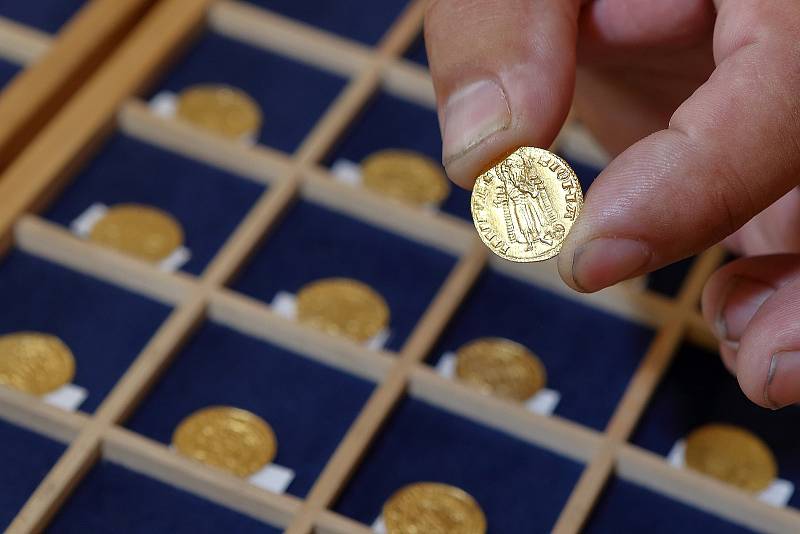 Archeolog Milan Metlička ze Západočeského muzea ukazuje mince z pokladu, který našli lidé na procházce v lese na Tachovsku. Poklad obsahuje zlaté a stříbrné mince ze 14. století, které byly uloženy v nevelké nádobě.