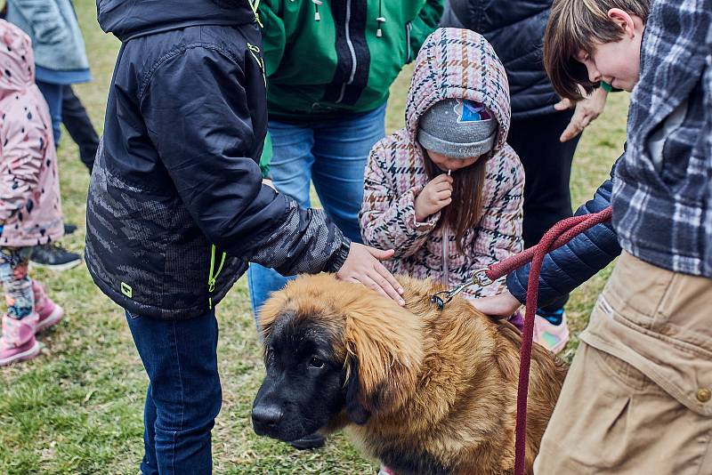 Předvelikonoční den na sídlišti Vinice v Plzni. V dílnách se zájemci mohli naučit plést pomlázky, nebo si ozdobit velikonoční kraslice. Nejmenší děti čekalo hledání čokoládových vajíček. Pro všechny hrála folklórní muzika a proběhly ukázky canisterapie.