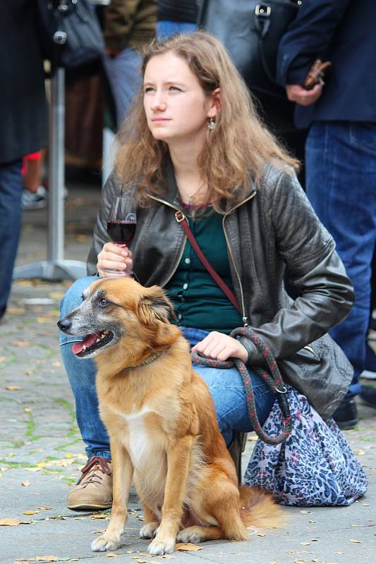 Plzeňský festival vína přilákal do Kopeckého sadů stovky lidí.