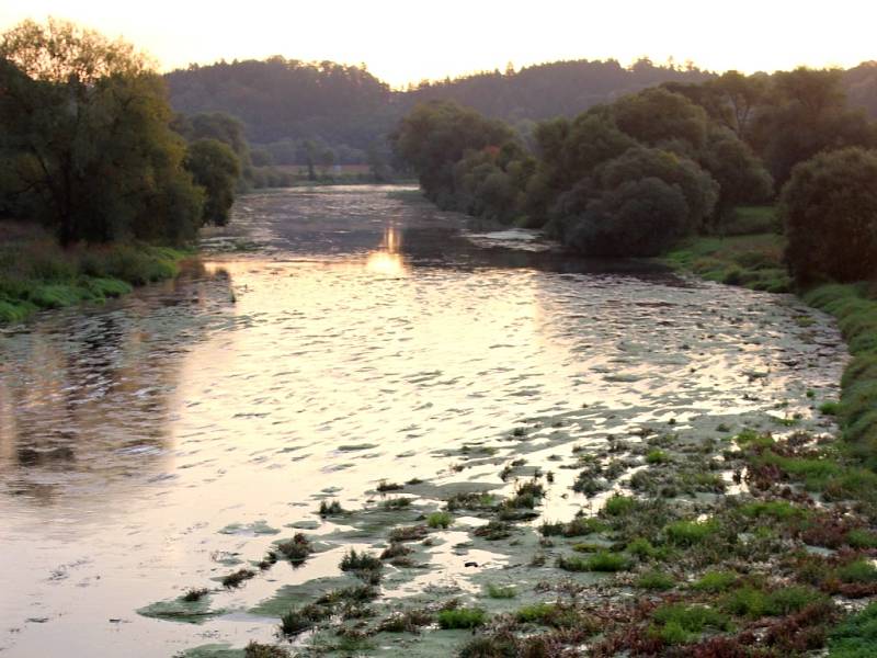 Vody bylo stále méně,  a tak Berounka pod Dolanským mostem postupně zarostla trávou.