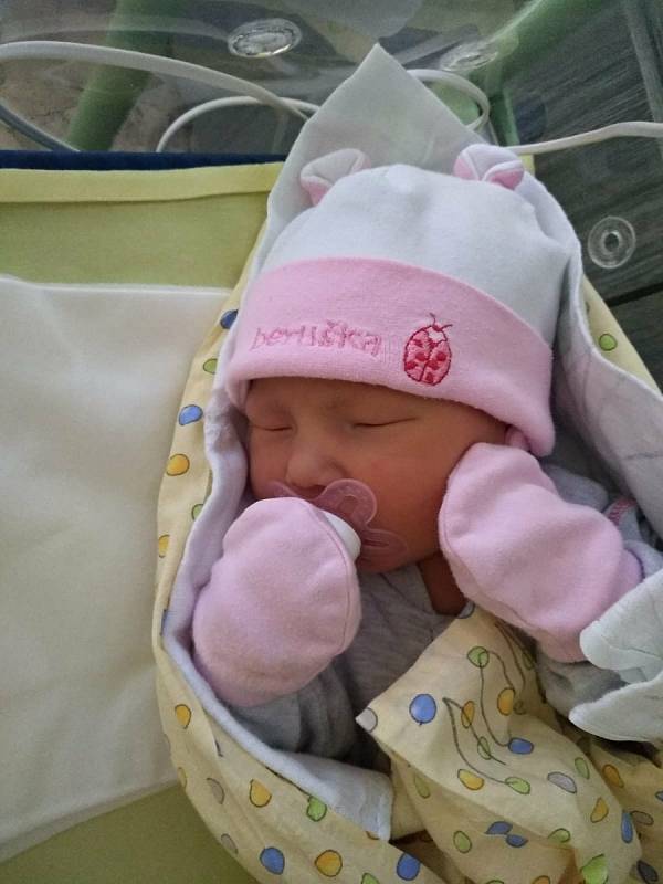 Anetka Křížová se narodila 25. prosince 2021 v porodnici Mulačovy nemocnice v Plzni s mírami 3470 g a 51 cm. Prvorozenou dceru přivítali rodiče Monika a Jan z Volduch.