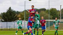 Viktoria Plzeň B - Hostouň 2:0.