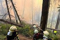 Lesní požár u Hřenska