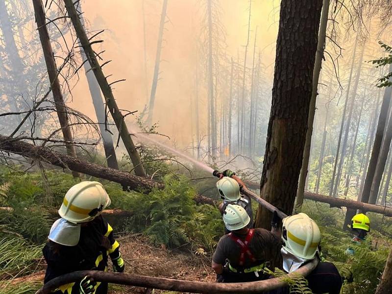 Lesní požár u Hřenska