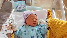 Colin James Dao (4050 g, 53 cm) se narodil 12. září v 15:05 hodin. Na světě přivítali svého prvorozeného chlapečka rodiče Truc a Khiem.