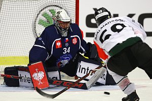 Plzeňský brankář Dominik Frodl na archivním snímku z minulého ročníku Ligy mistrů.