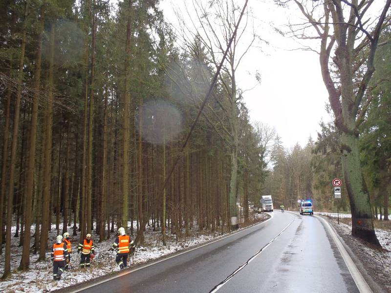 Nakloněný strom v obci Babylon.