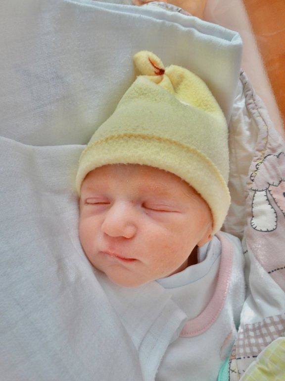 Tobiáš Kříž se narodil 27. ledna v 10:48 mamince Janě z Plzně. Po příchodu na svět v plzeňské fakultní nemocnici vážil o dvě minuty mladší bráška Jáchyma 2620 gramů a měřil 50 centimetrů.