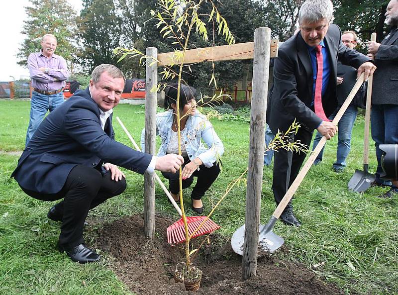 Pavel Vrba zasadil ve Štruncových sadech v Plzni vrbu bílou