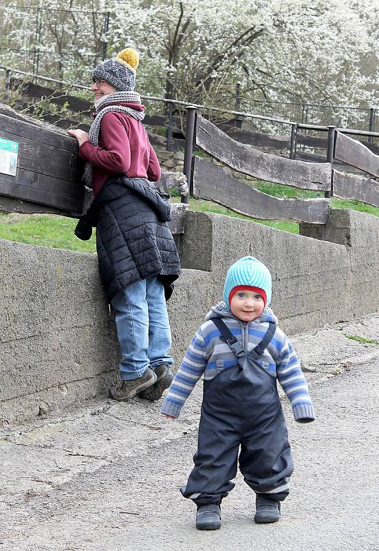 Do plzeňské zoologické zahrady dorazily jenom za sobotu více než dva tisíce návštěvníků.