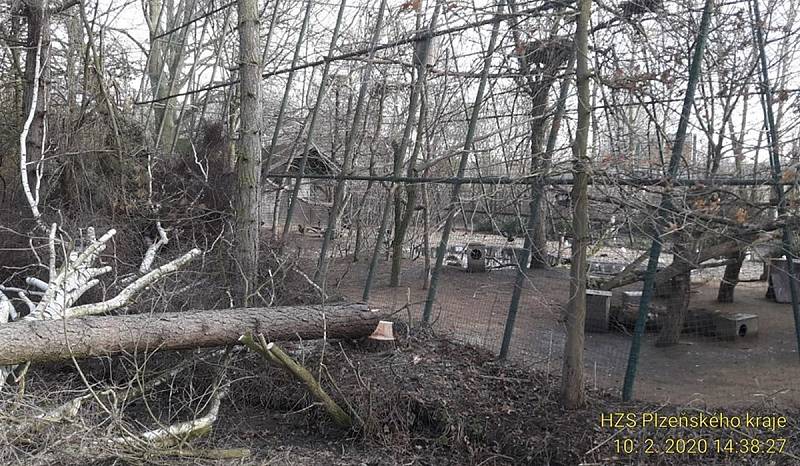 V plzeňské zoo ohrožoval strom voliéru
