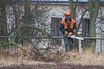 V Plzni na Borech odstartovalo kácení stromů kvůli chystané výstavbě tramvajové trati