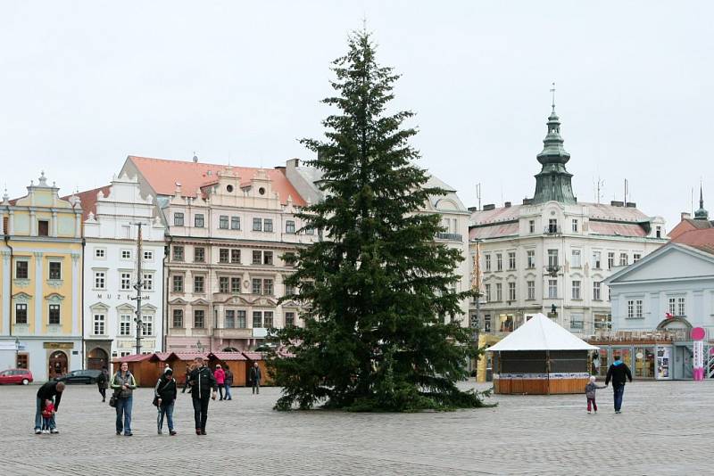 Vánoční strom na náměstí Republiky v Plzni