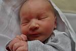 Berenika Fürbacherová se narodila 17. března v 18:25 mamince Martině a tatínkovi Michalovi z Plzně. Po příchodu na svět vážila jejich první dcera 2950 gramů a měřila 48 cm.