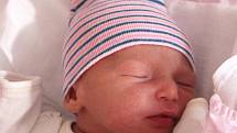 Anna Kováříková se narodila 22. února ve 22:06 rodičům Michale a Danielovi z Plzně. Po příchodu na svět v plzeňské FN na Lochotíně vážila jejich prvorozená dcerka 3090 gramů a měřila 48 centimetrů.
