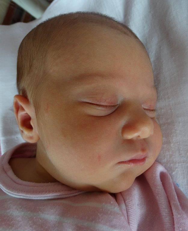 Šestiletý Filípek se již doma v Plzni těší na sestřičku Elišku Procházkovou, která se narodila mamince Lence a tatínkovi Radkovi 11. června. Po narození vážila 3 460 gramů a měřila 51 centimetrů.
