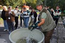 Mezinárodní ekologický projekt zavedl žáky z Plzně i ze zahraničí také k Boleveckému rybníku. Tam mohli zkoumat místní ekosystém, nebo si z bezprostřední blízkosti prohlédnout různé druhy ryb v městských sádkách.