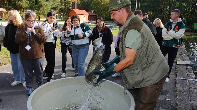 Mezinárodní ekologický projekt zavedl žáky z Plzně i ze zahraničí také k Boleveckému rybníku. Tam mohli zkoumat místní ekosystém, nebo si z bezprostřední blízkosti prohlédnout různé druhy ryb v městských sádkách.