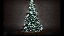 Plzeňané si i letos mohou vybrat dozdobení vánočního stromu a nově výzdobu Klatovské třídy. Na snímku varianta 4: led řetěz s flash efektem, led sněhuláci, světelná špička, led padající sníh, plastové ozdoby.