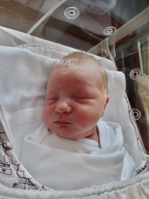 Stela Glusová se narodila 19. března v 7:29 mamince Michaele a tatínkovi Tomášovi z Líní. Po příchodu na svět v plzeňské fakultní nemocnici vážila jejich prvorozená dcerka 3650 gramů a měřila 53 centimetrů.