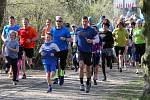 Běh Run For Pro Cit v Borském parku v Plzni