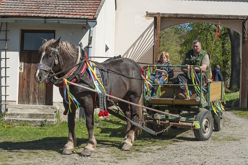 Natáčení filmu Cesta domů