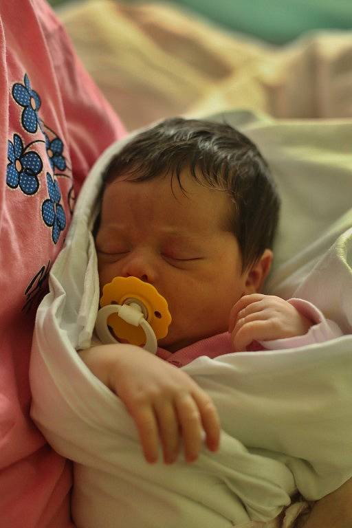 Adéla Přerovská se narodila 15. dubna ve 12:56 mamince Daniele a tatínkovi Danielovi z Plzně. Po příchodu na svět v porodnici U Mulačů vážila jejich první dcerka 3650 gramů a měřila 58 cm