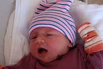 Tereza Bradáčová z Dýšiny přišla na svět v porodnici FN Lochotín 7. srpna ve 20:14 hodin. Maminka Johana a tatínek Jan věděli, že jejich prvorozeným miminkem (2560 g, 46 cm) bude holčička.