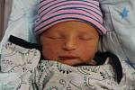 Dominik Sološ z Plzně přišel na svět v porodnici FN Lochotín 6. srpna ve 20:22 hodin. Maminka Dominika a tatínek Martin věděli, že jejich prvorozeným miminkem (4170 g, 53 cm) bude chlapeček.