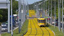 Tramvajová trať v Plaské ulici v Bolevci prošla rozsáhlou modernizací. Po výměně kolejí došlo i na osazení tramvajového pásu suchomilnými rostlinami. Ty nyní rozkvetli žlutými květy a kromě zlepšení vzhledu také sníží hluk i prašnost od tramvajové dopravy