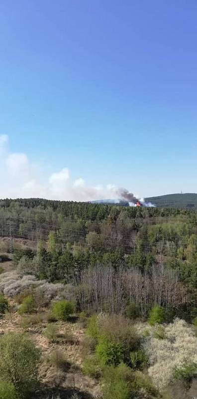 Požár Chotíkovského lesa.