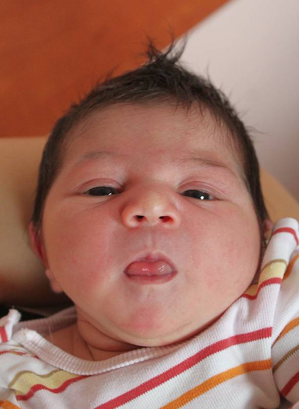 Natálie Horváthová se narodila 2. srpna v 11:03 mamince Regině a tatínkovi Erikovi z Plzně. Po příchodu na svět v plzeňské fakultní nemocnici vážila prvorozená dcerka 3250 gramů a měřila 50 centimetrů.