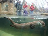 Návštěvníci zoologické zahrady si prohlížejí expozici, která přibližuje život v české řece.
