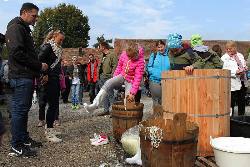 Festival zelí v Křimicích