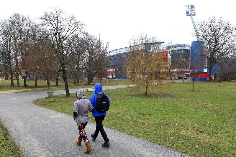 Poničená vrba Pavla Vrby - bývalého trenéra fotbalového klubu FC Viktoria Plzeň nedaleko stadionu ve Štruncových sadech.