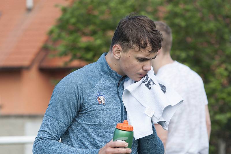 Osmnáctiletý hokejový útočník Filip Přikryl (na snímku) se po návratu ze zámoří připravuje s áčkem extraligové Škody Plzeň .