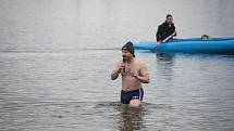 Český pohár v zimním plavání na Velkém boleveckém rybníku v Plzni