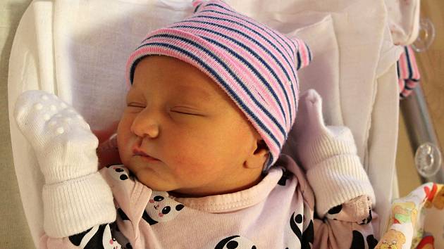 Amálie z Plzně se mamince Andree narodila v porodnici FN Lochotín 14. listopadu 2022 ve 13:20 hodin. Doma na sestřičku čekala šestiletá Adélka.