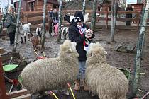 Ve Farmaparku U Toma proběhlo víkendové Zvířátkování. Na akci dorazily stovky lidí, především rodiny s malými dětmi.