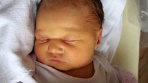 Žaneta Pluhařová se narodila 10. února v 16:20 mamince Dominice a tatínkovi Lubošovi Řehořovi z Plzně. Po příchodu na svět ve FN na Lochotíně vážila jejich prvorozená dcerka 3040 gramů a měřila 49 centimetrů.