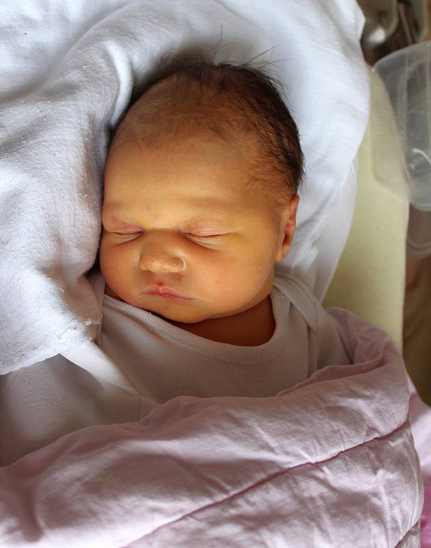 Žaneta Pluhařová se narodila 10. února v 16:20 mamince Dominice a tatínkovi Lubošovi Řehořovi z Plzně. Po příchodu na svět ve FN na Lochotíně vážila jejich prvorozená dcerka 3040 gramů a měřila 49 centimetrů.