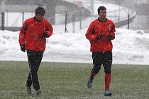 První trénink fotbalistů Viktorie Plzeň v roce 2011