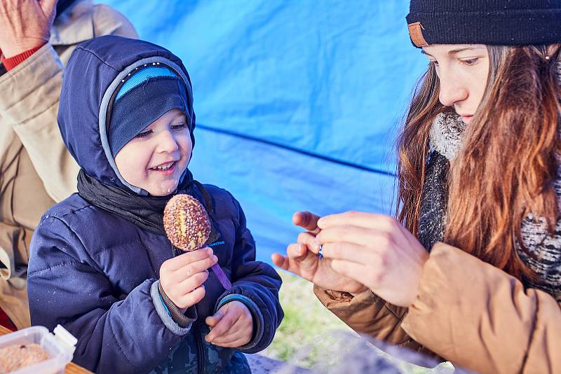 Předvelikonoční den na sídlišti Vinice v Plzni. V dílnách se zájemci mohli naučit plést pomlázky, nebo si ozdobit velikonoční kraslice. Nejmenší děti čekalo hledání čokoládových vajíček. Pro všechny hrála folklórní muzika a proběhly ukázky canisterapie.