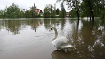 Povodeň v Plzni u sv. Jiří