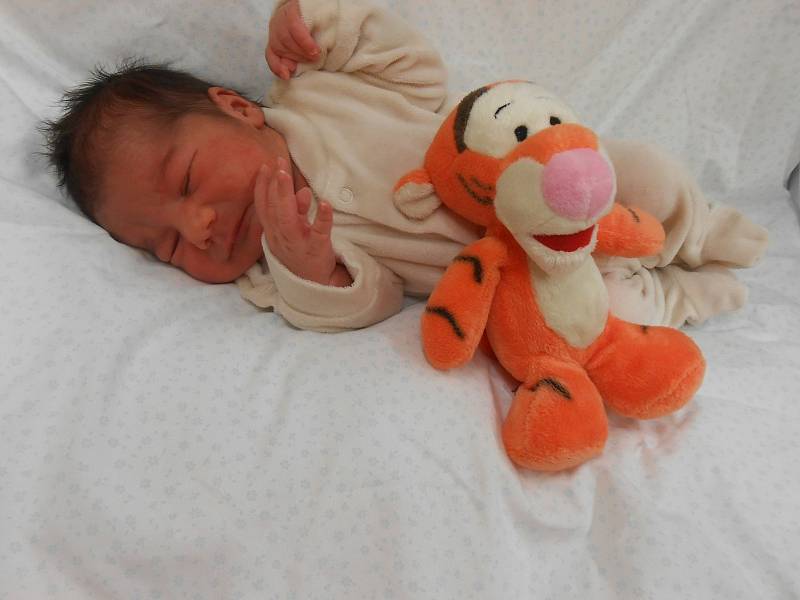 Dalibor B. se narodil 5. ledna 2022 v domažlické porodnici. Po příchodu na svět vážil 3130 gramů a měřila 48 centimetrů.