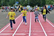 Foto z minulého ročníku Festivalu sportu