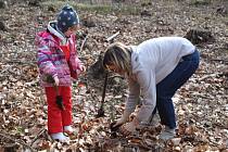 Sobotní sázení stromů v lese na okraji Plzně bylo určeno pro pět skupin dobrovolníků.