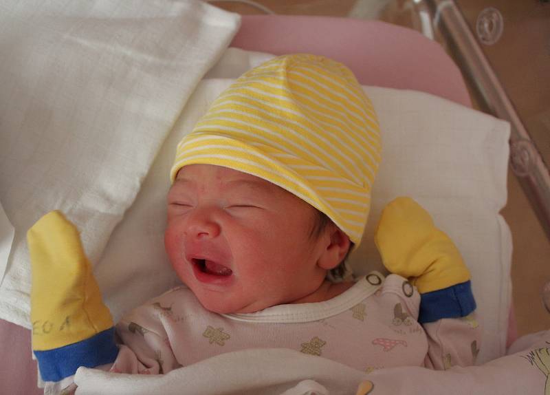 Sofia Dykolenko se narodila 30. října v 10:13 v plzeňské porodnici na Lochotíně mamince Janě a tatínkovi Ivanovi z Plzně. Po narození vážila sestřička desetiletého Tima 3340 gramů a měřila 50 centimetrů.