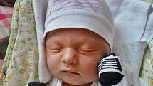 Emma Halmlová se narodila 30. dubna 49 minut po půlnoci mamince Michaele a tatínkovi Jiřímu z Plzně. Po příchodu na svět v plzeňské FN vážila jejich první dcerka 3310 gramů a měřila 51 centimetrů